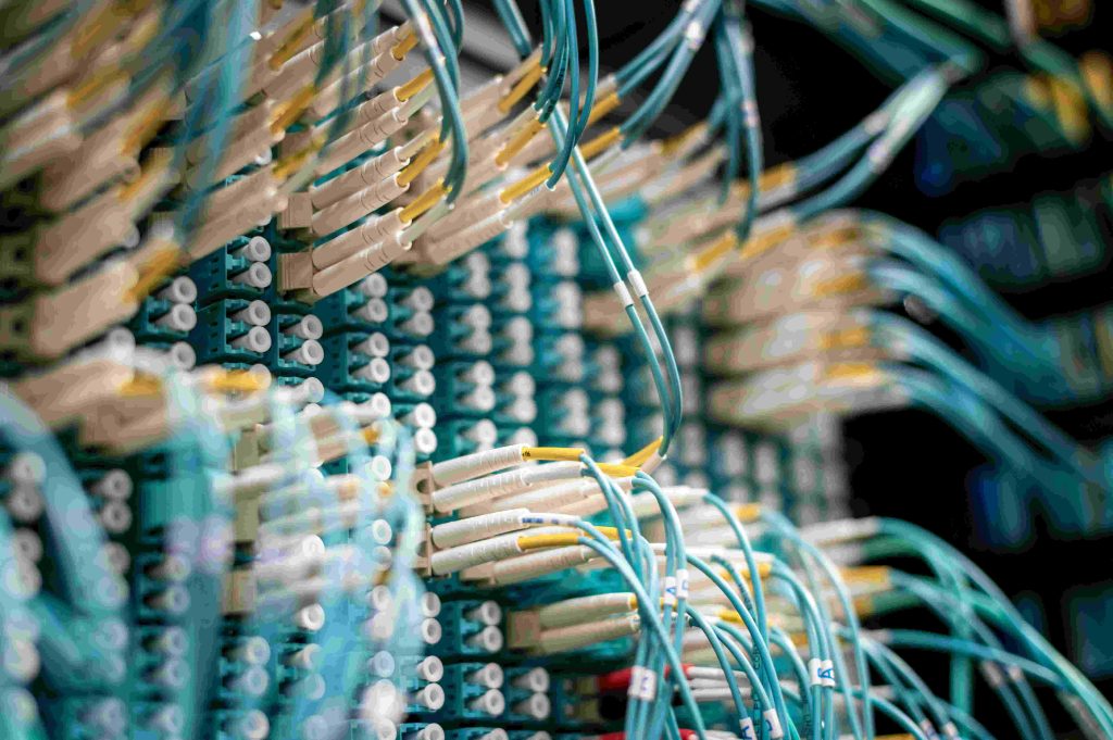 Close-up view of numerous network cables connected to a patch panel, showcasing a detailed setup of data transmission infrastructure in vibrant teal and white colors