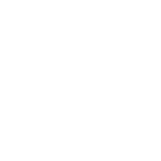 expert team
